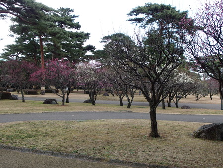 P2071156