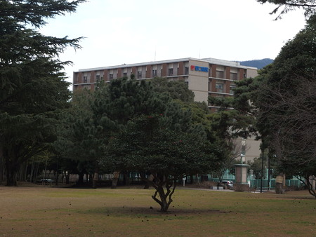 P2071159