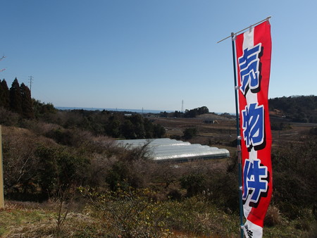P2101191