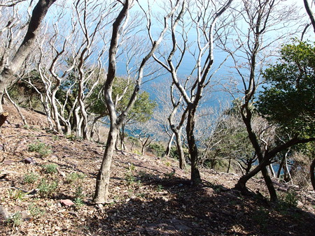 P2111268