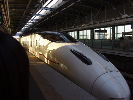 P5051767