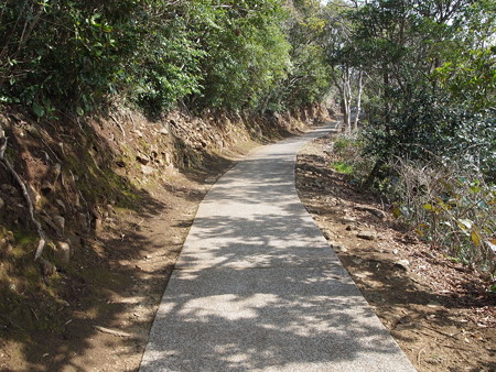 P2260209