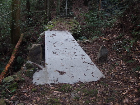 P3191705
