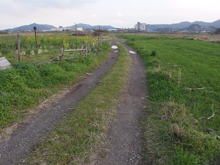 P3191722