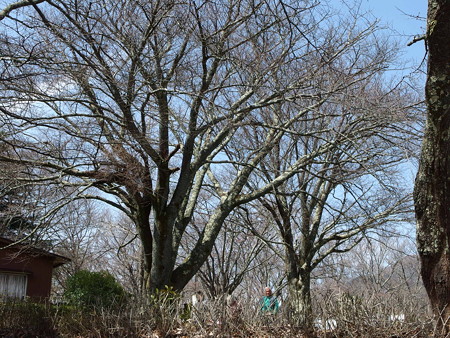 P3232071