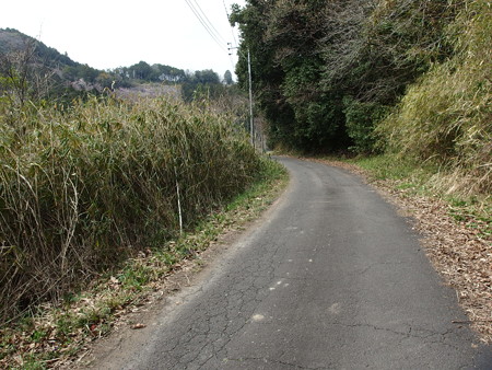 P3302259