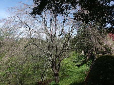 P4052450