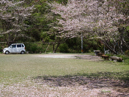 P4050441