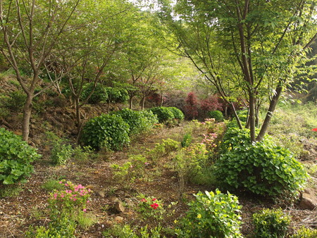 P4102589