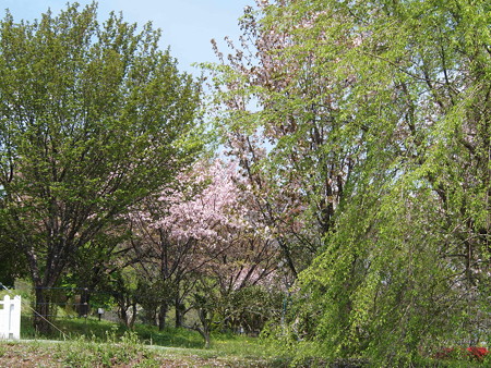 P4110707