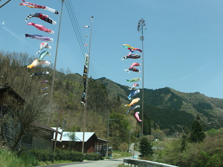 P4202859