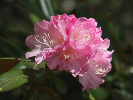 P4200902