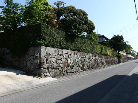 P4303184