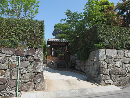 P4303185