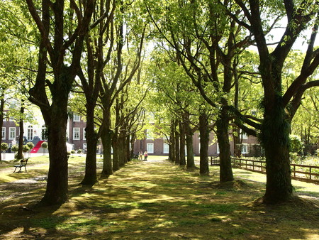 P4303253