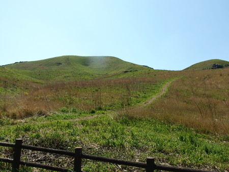P5013368