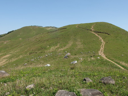 P5013376