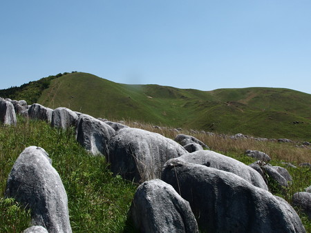 P5013407