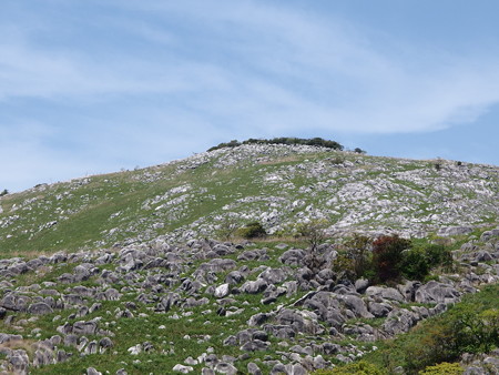 P5013422