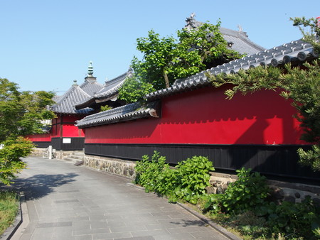 P5013503