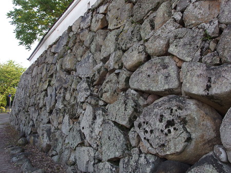 P5013534