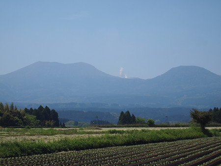 P4288260