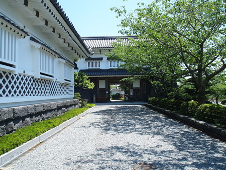 P4288275