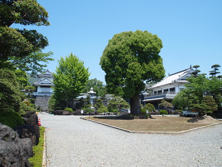 P4288277
