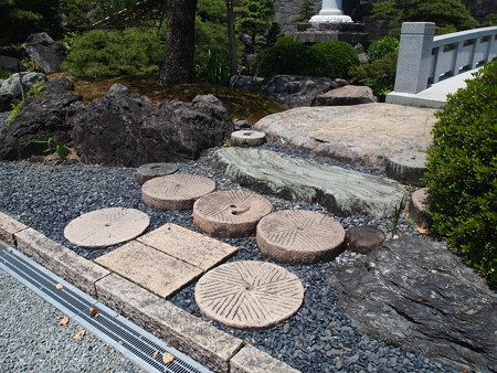 P4288290