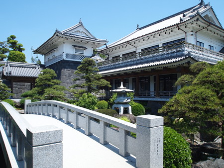 P4288291