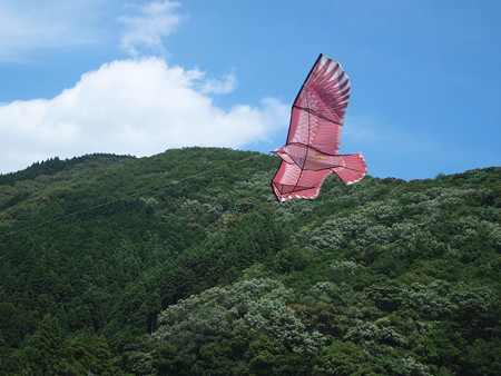 P6129462