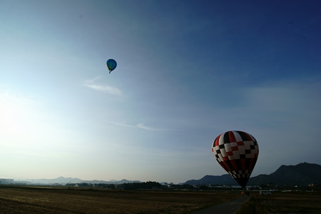 DSC00015 (1)-6