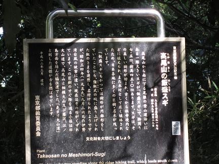 飯盛スギの看板