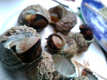 20081230112430