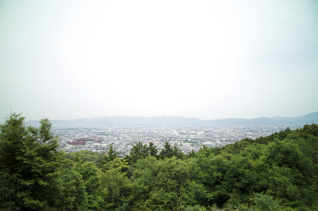 L1023807