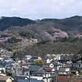 Photos: 花見山