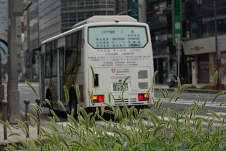 IMGP2735