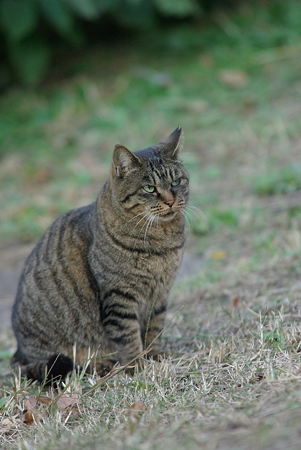 IMGP6797