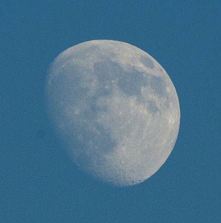 １１月２１日１５時５０分の月