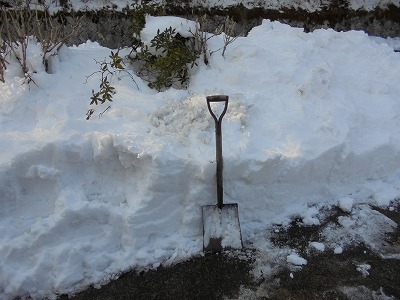 ２月８日「除雪」