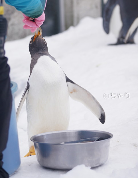 うぐぐ 写真共有サイト フォト蔵