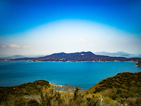 展望台からの景色