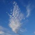 雲の群れ3