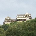 Photos: 今朝の松山城