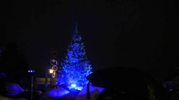 2015　函館クリスマスファンタジー点灯式5