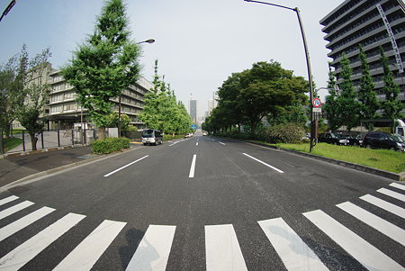 霞ヶ関付近の道路