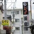 Photos: 名曲クイズ～浦島