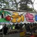 Photos: 名曲クイズ～南の島