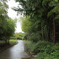 Photos: 竹林園・・静かです