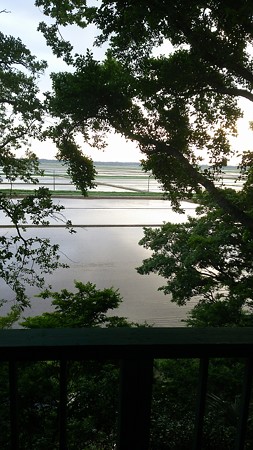 田園風景